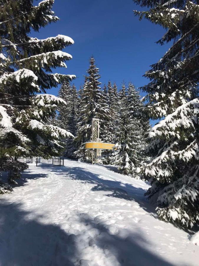 Hotel Novoe Shale Yablunytsya Εξωτερικό φωτογραφία