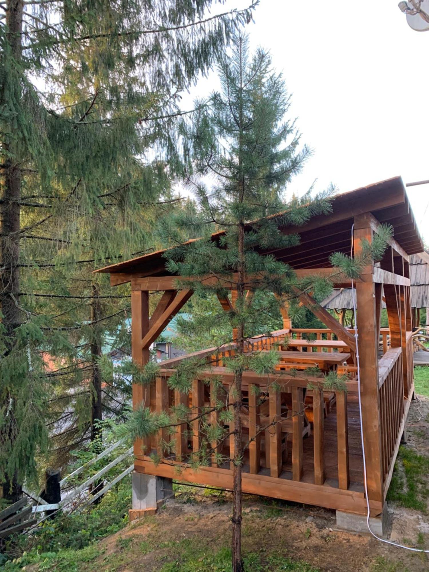 Hotel Novoe Shale Yablunytsya Εξωτερικό φωτογραφία